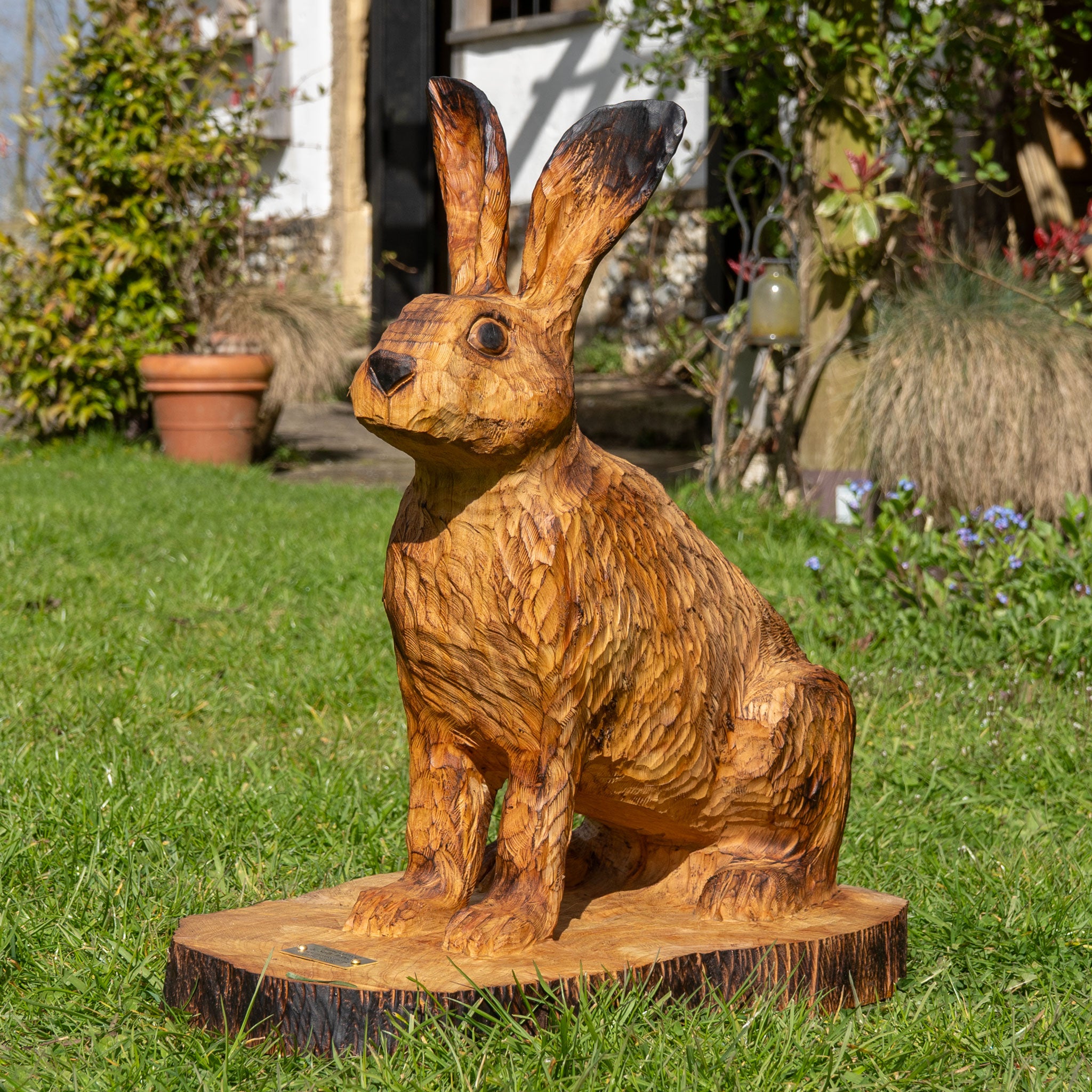 Sitting Hare