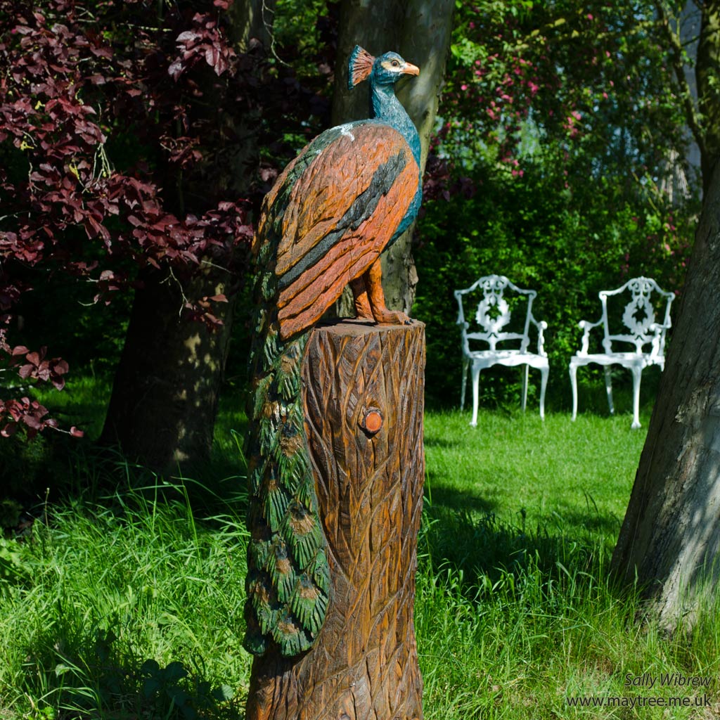 Peacock scuplture
