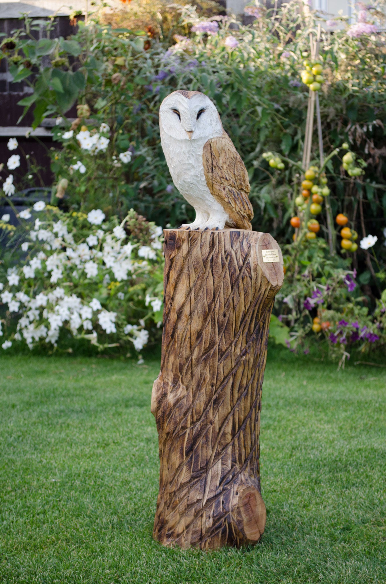 Sleeping Barn Owls