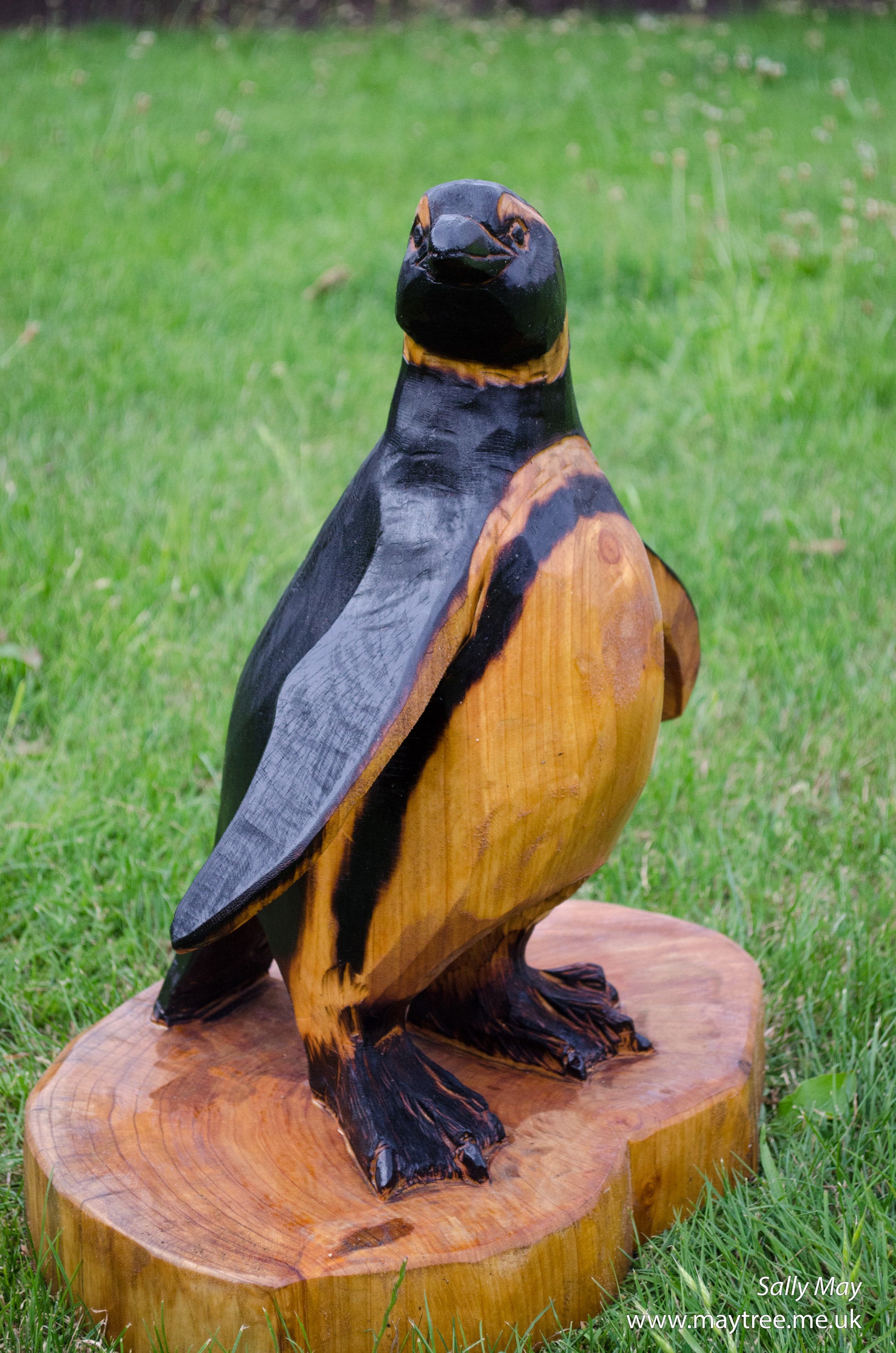 Penguin