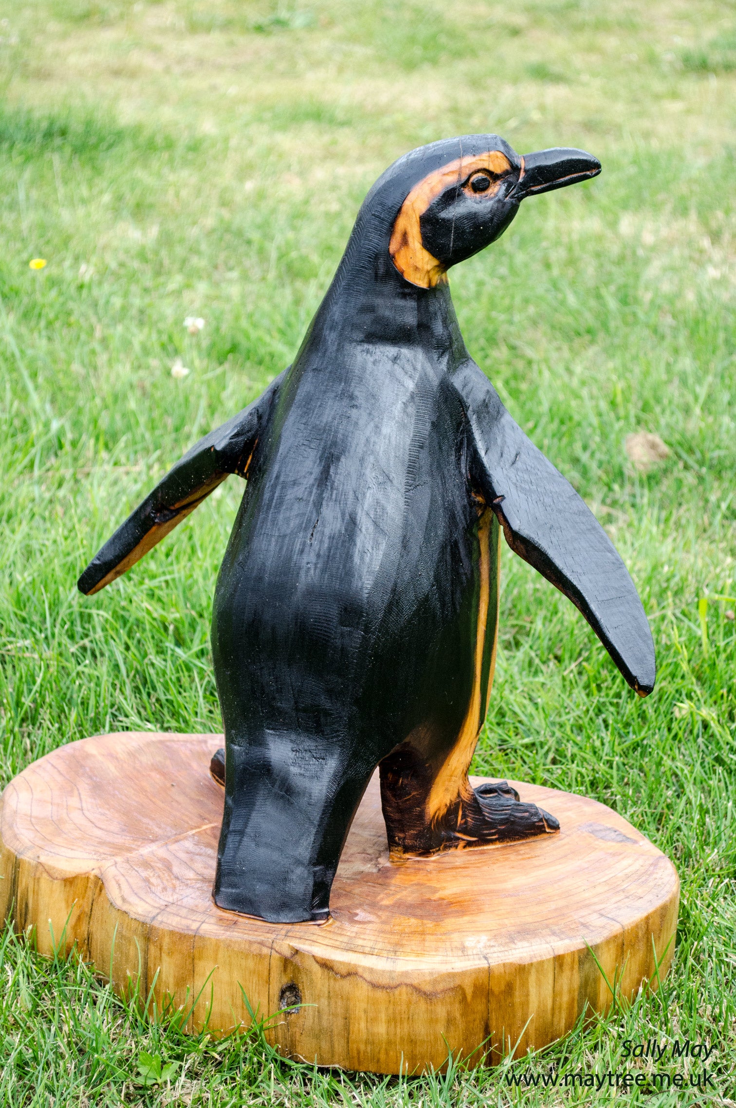 Penguin