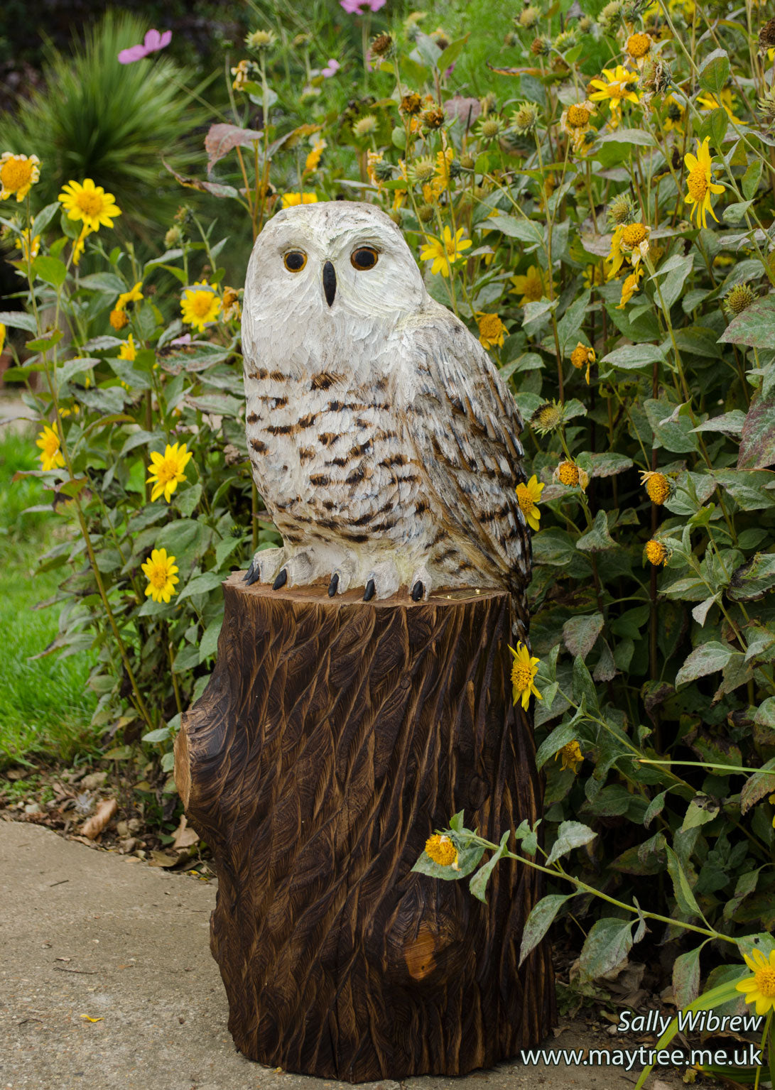 Snowy Owl