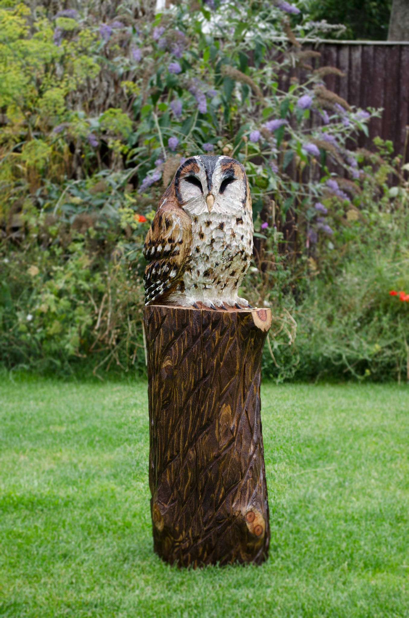 Tawny Owls