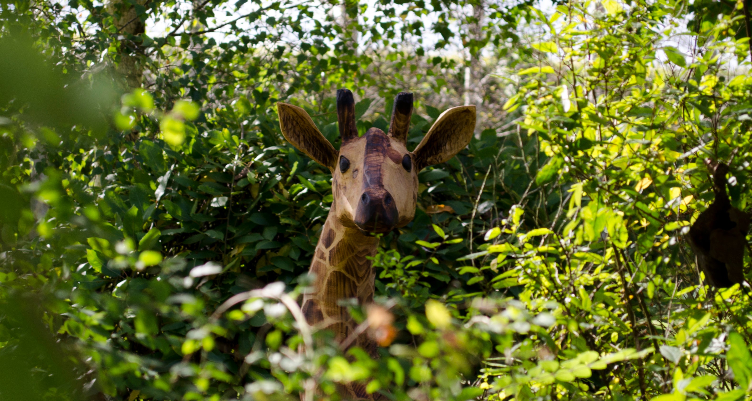 Wooden Giraffe