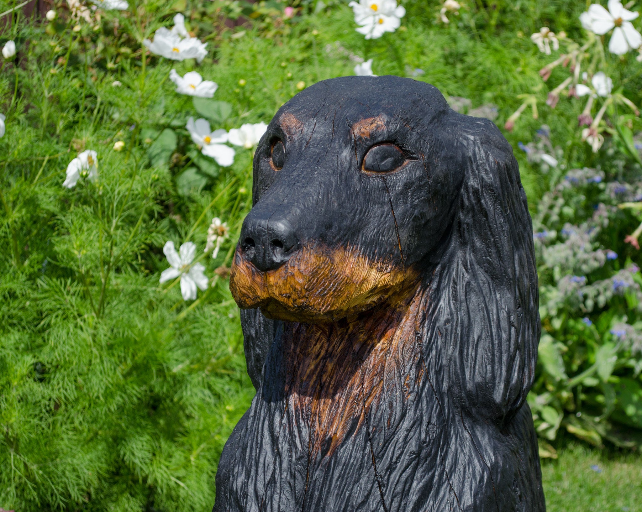 Dog Wood Carving