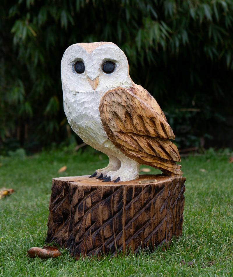 Barn Owls
