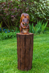 Red Squirrel