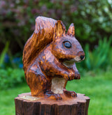 Red Squirrel