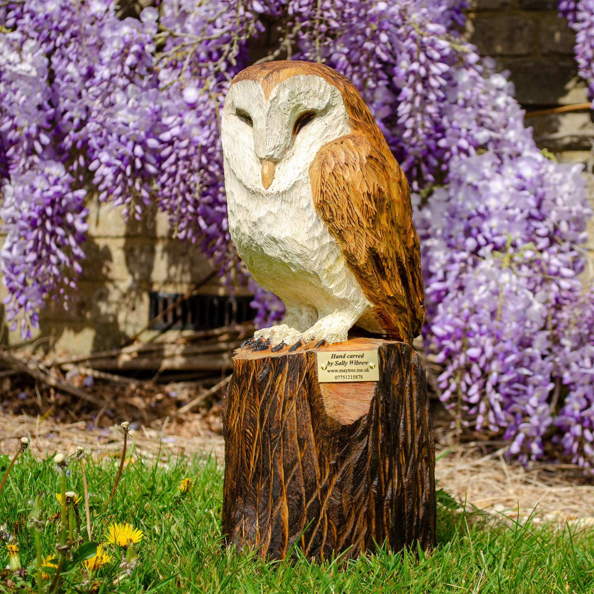 Sleeping Barn Owls