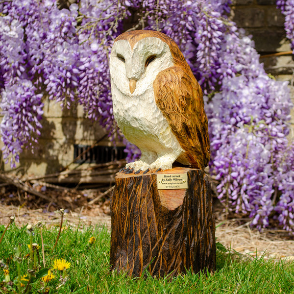 Sleeping Barn Owls