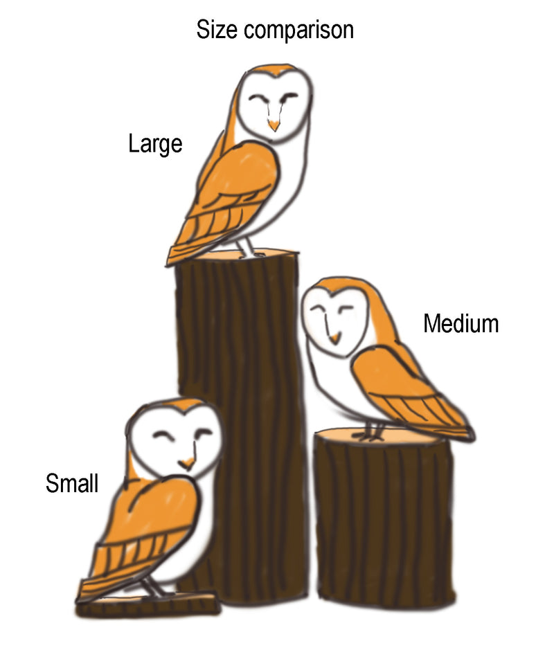 Barn Owls