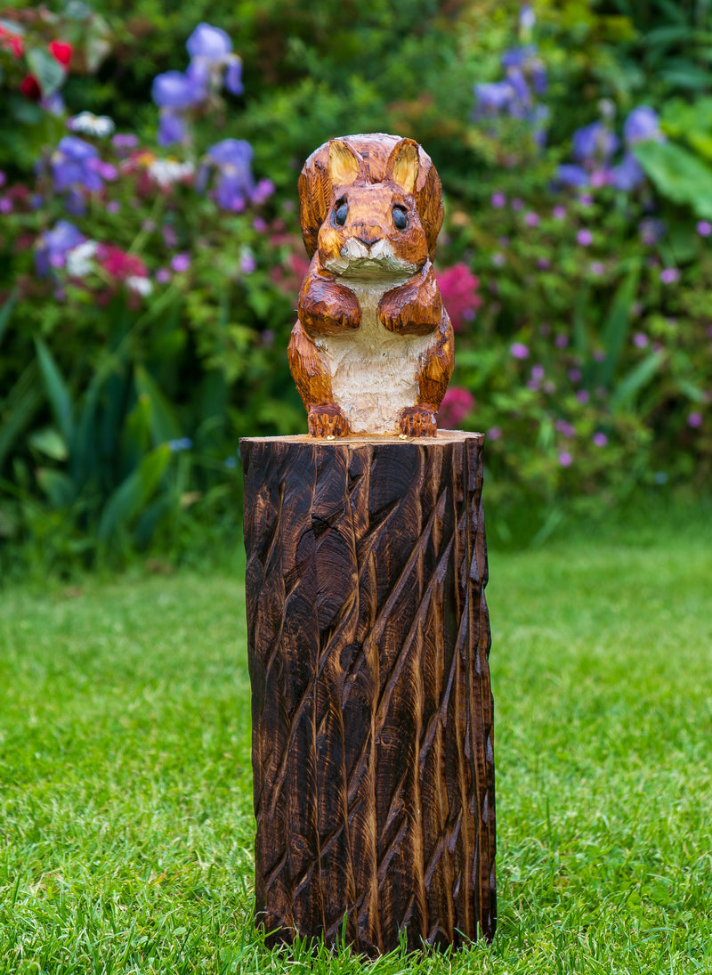 Red Squirrel