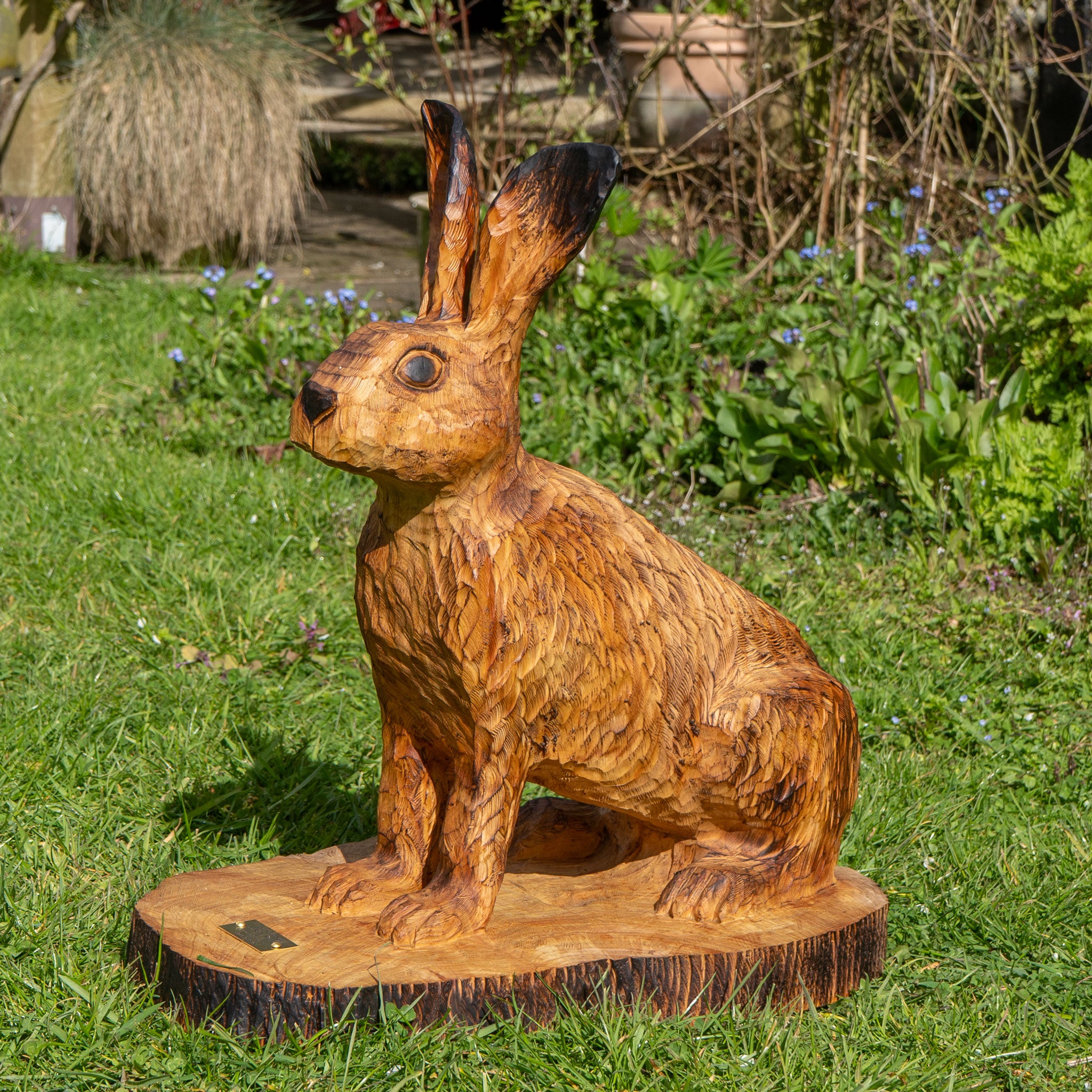Sitting Hare
