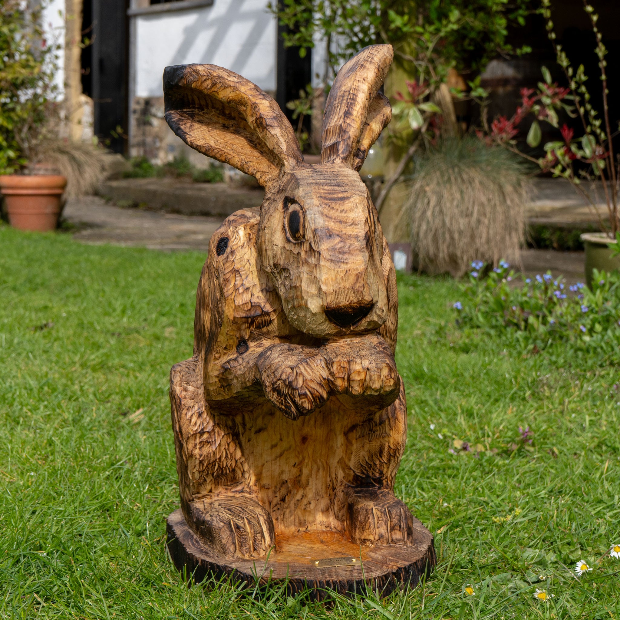 Hare Grooming