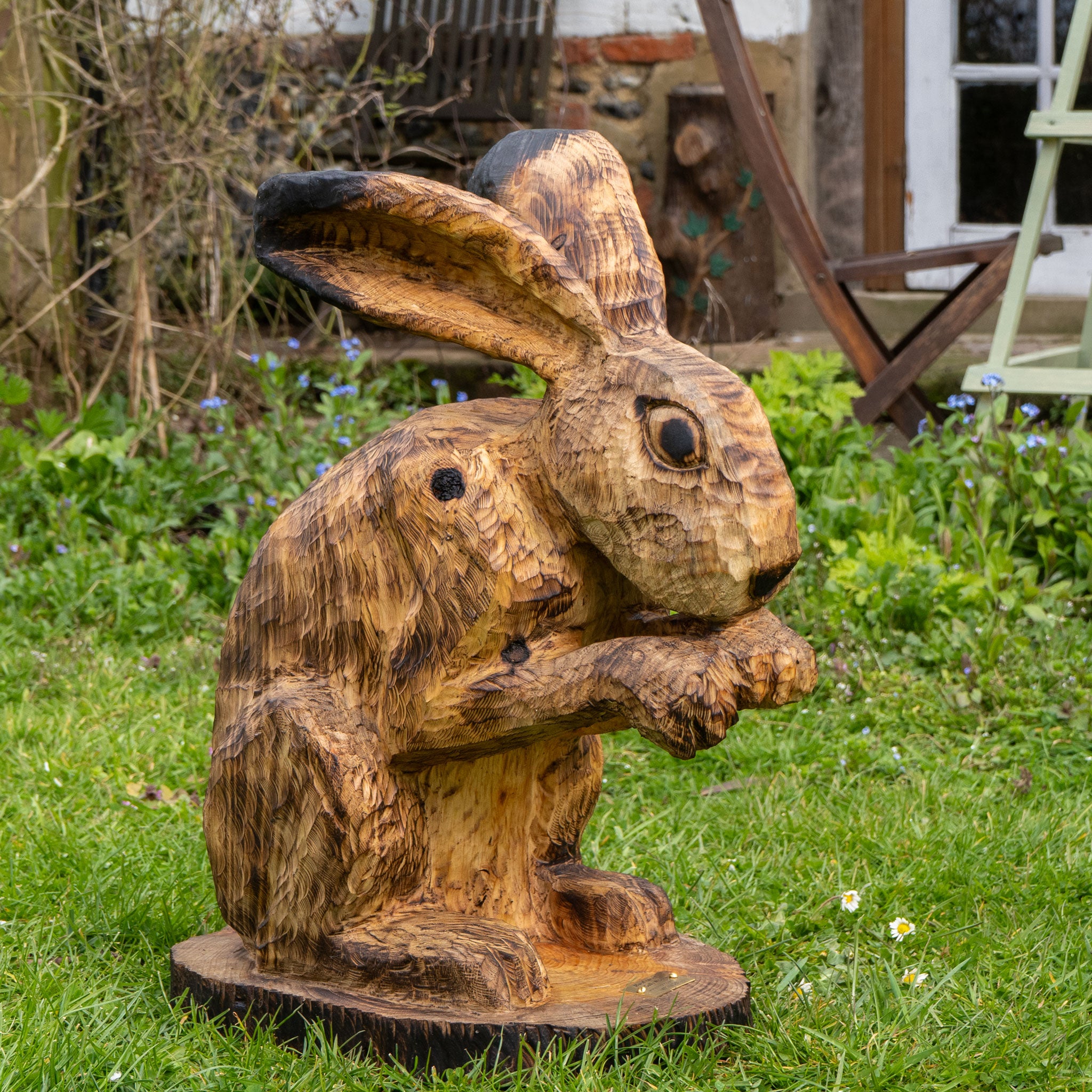 Hare Grooming