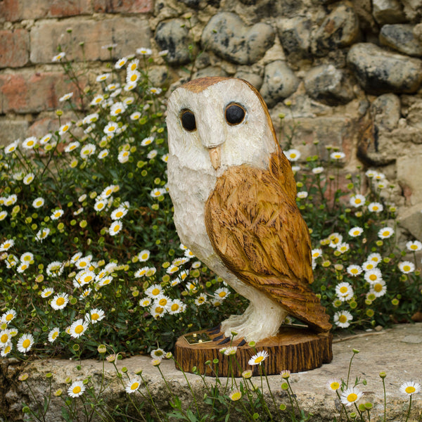 Barn Owls