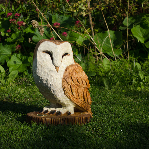 Sleeping Barn Owls