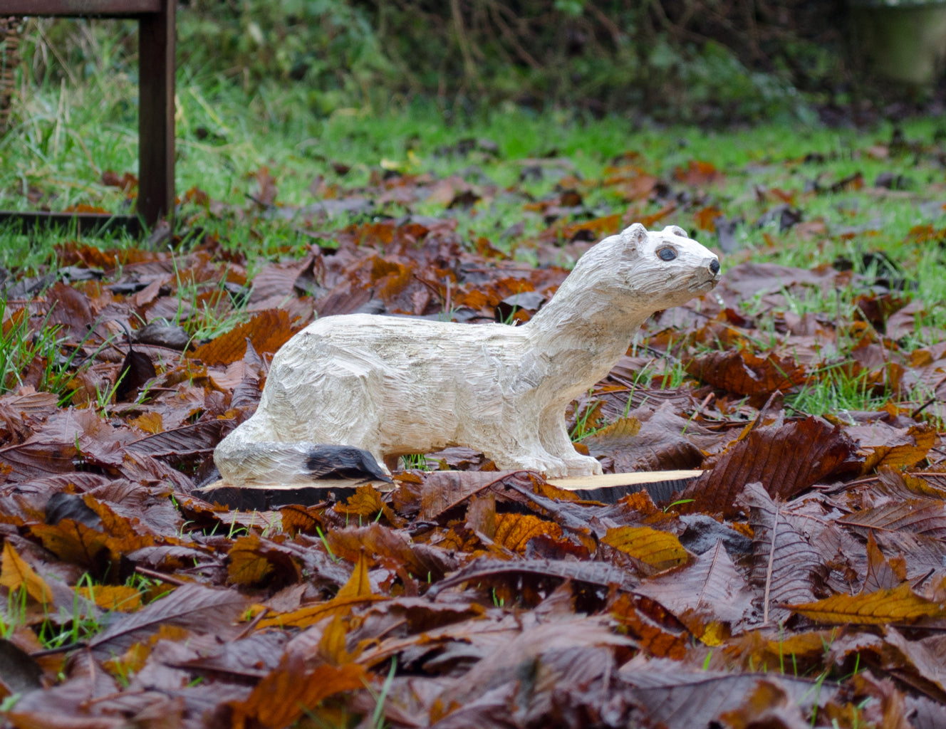 ermine stoat