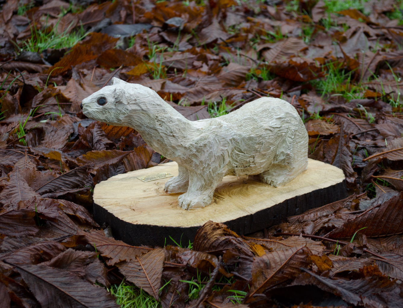 ermine stoat