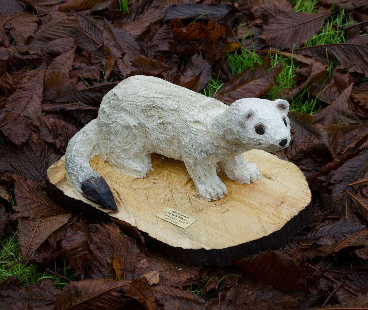 ermine stoat