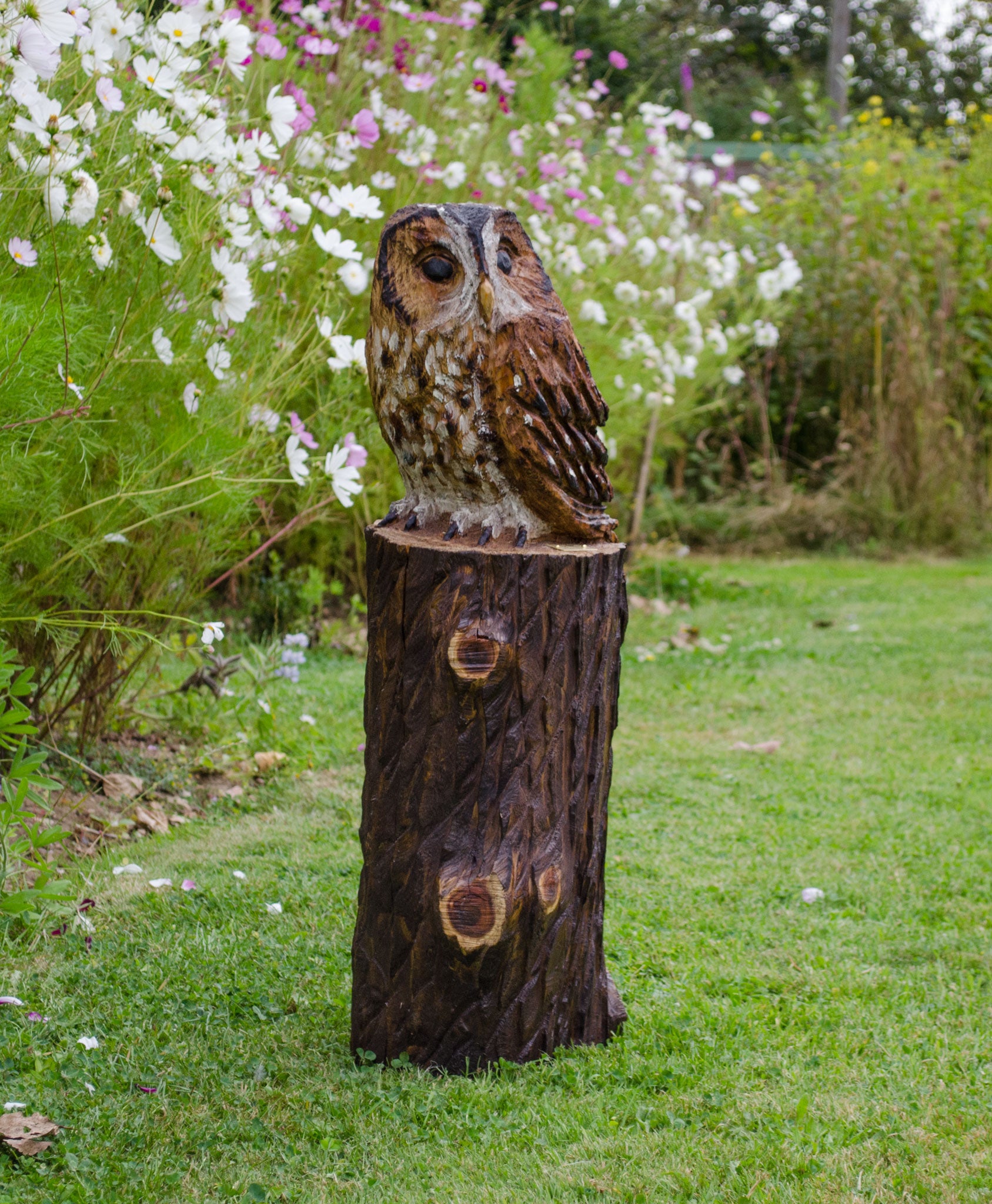 Tawny Owls