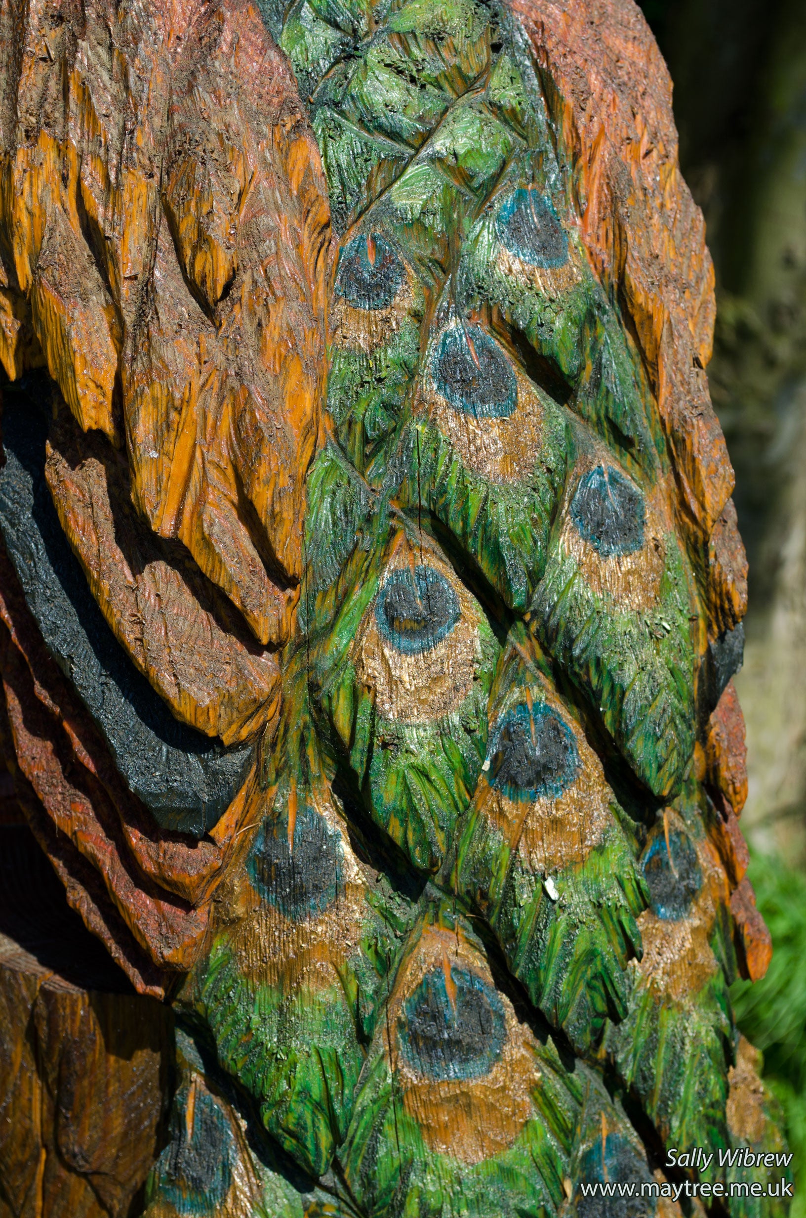 Large Wooden Peacock Sculpture