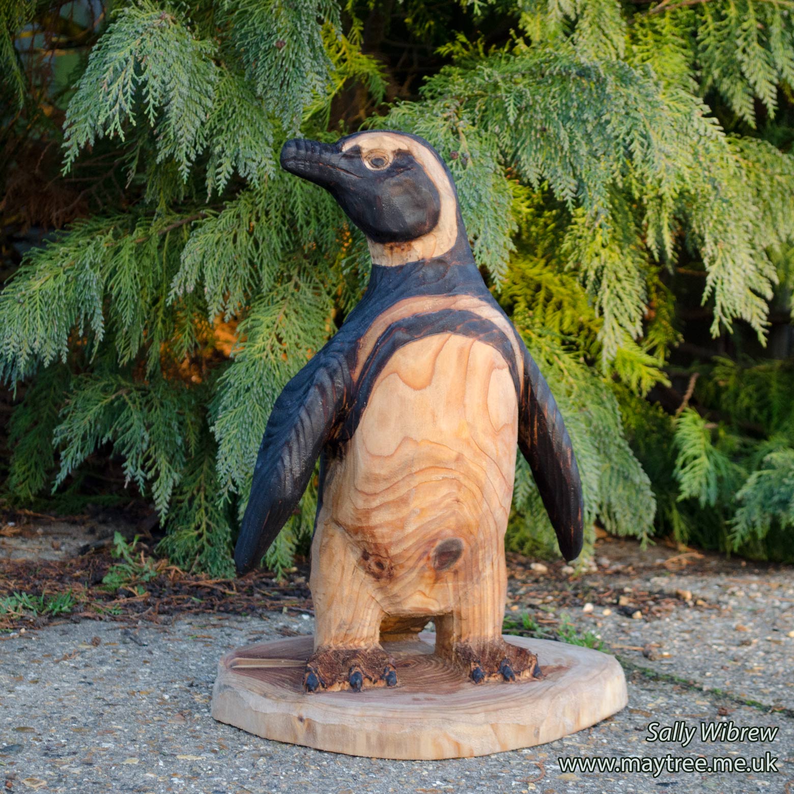 Penguin