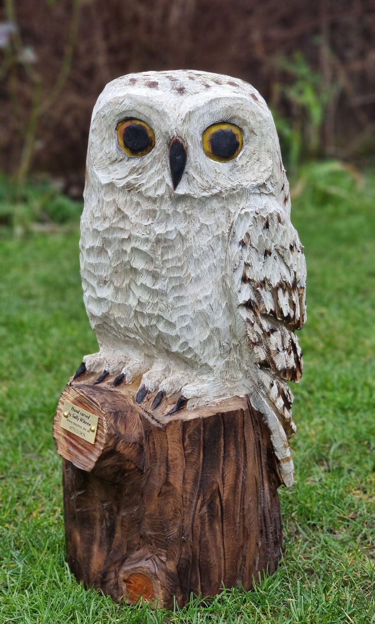 Snowy Owl