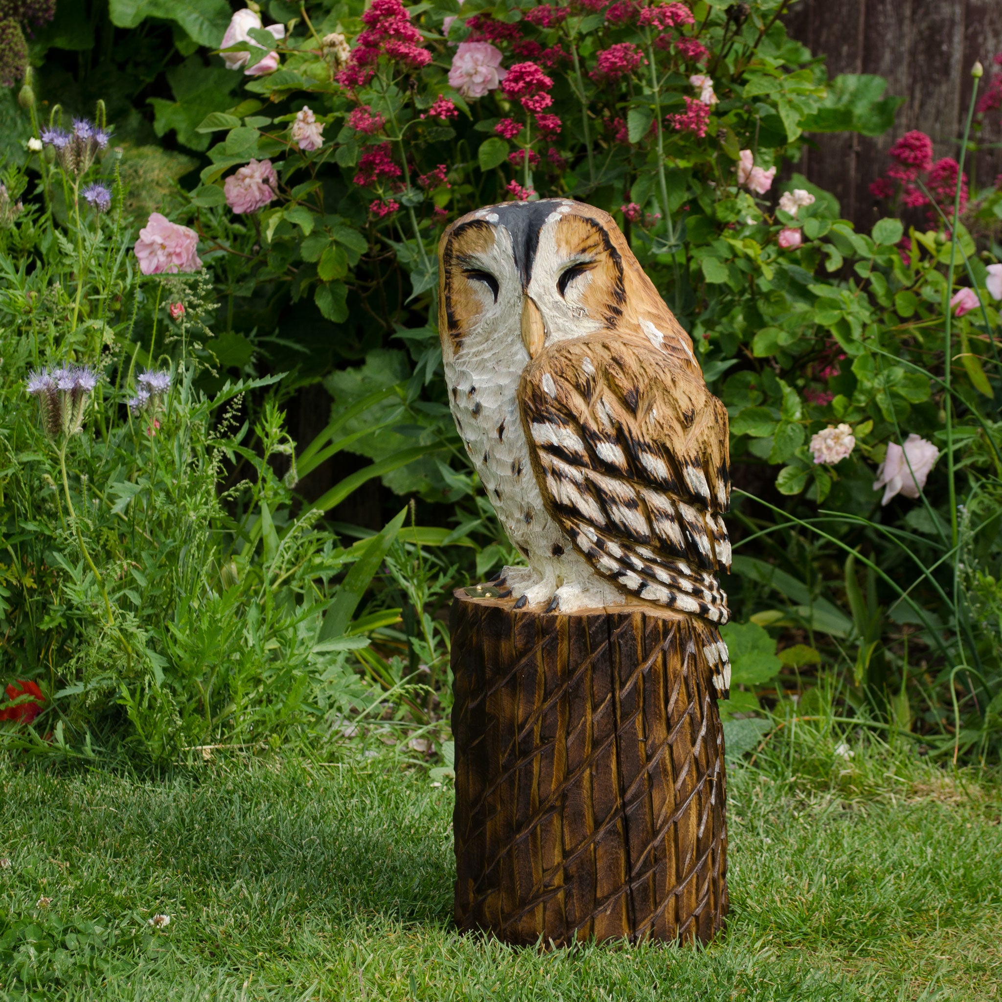 Tawny Owls