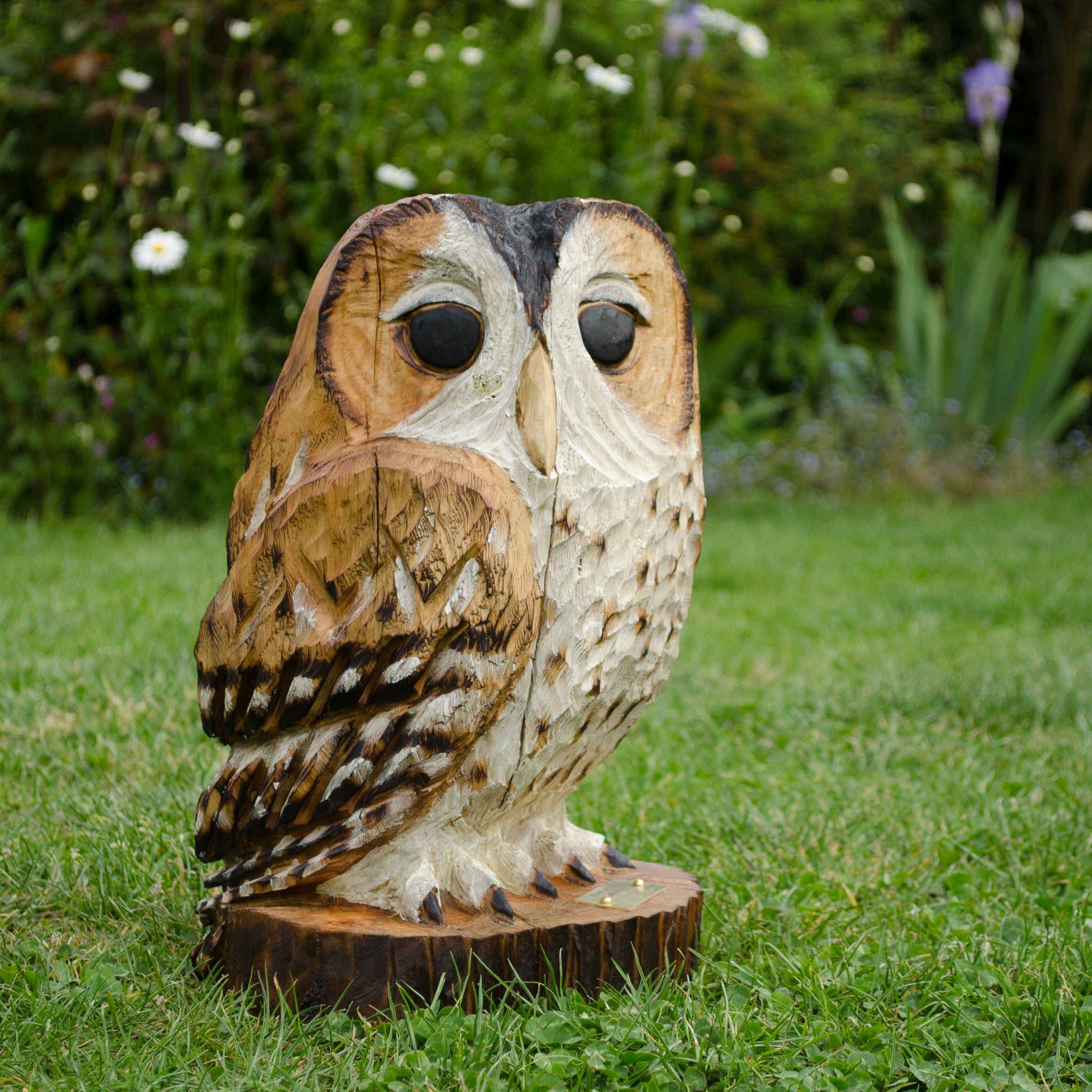 Tawny Owls